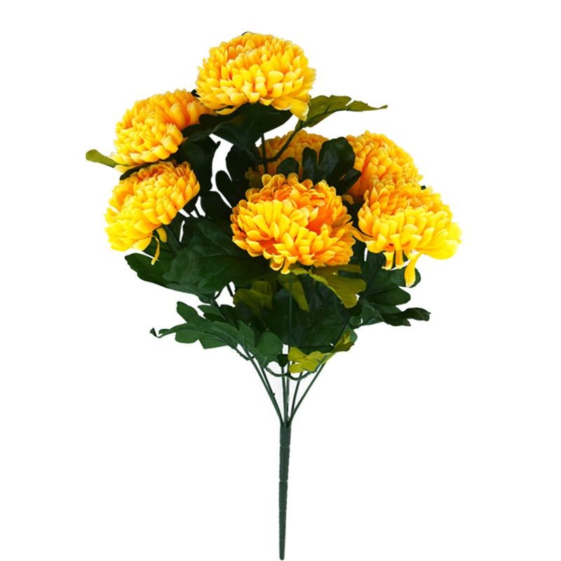 Bouquet de chrysanthèmes