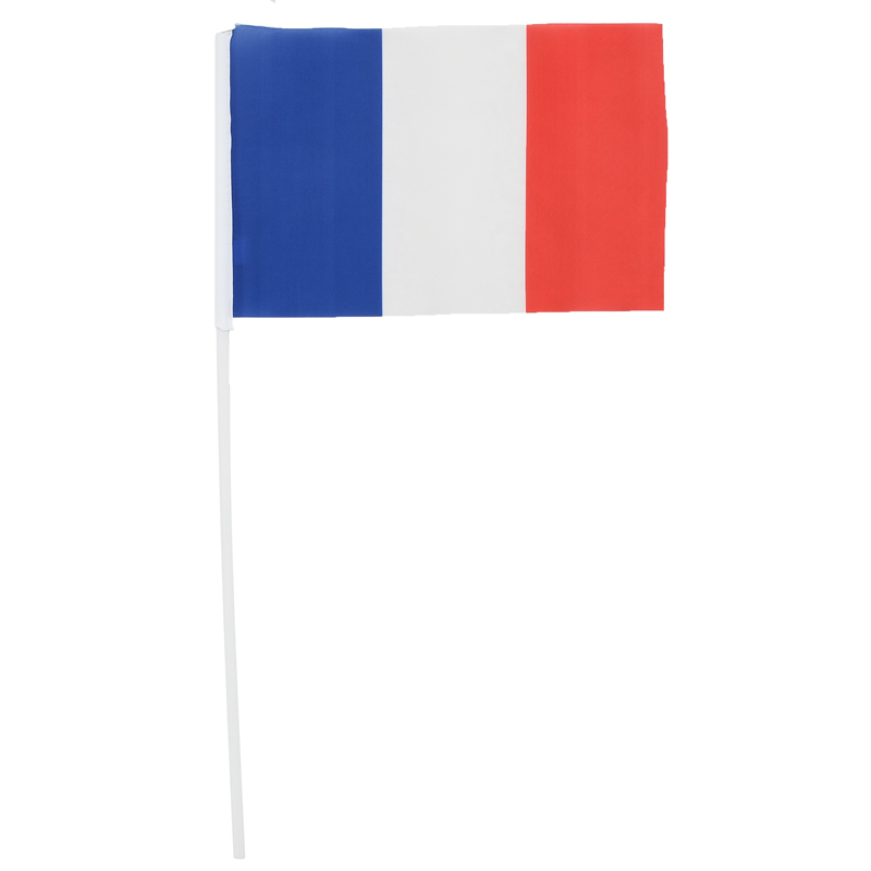 Drapeau tricolore 'Allez la France!