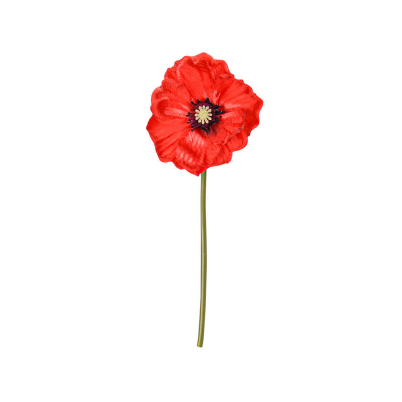 Coquelicot rouge