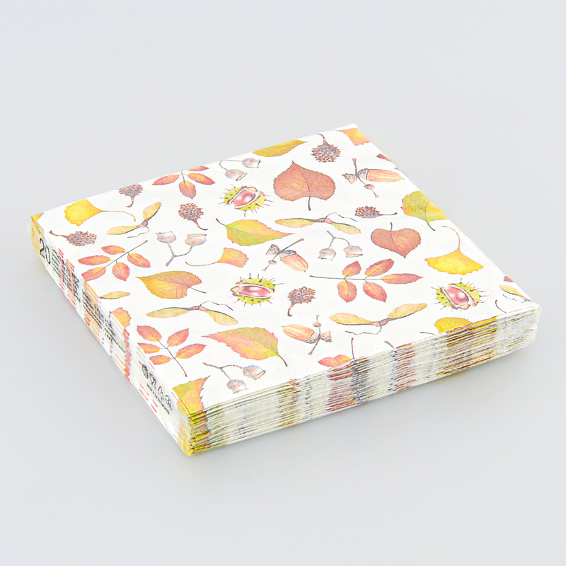 Lot de 20 serviettes 'Automne'