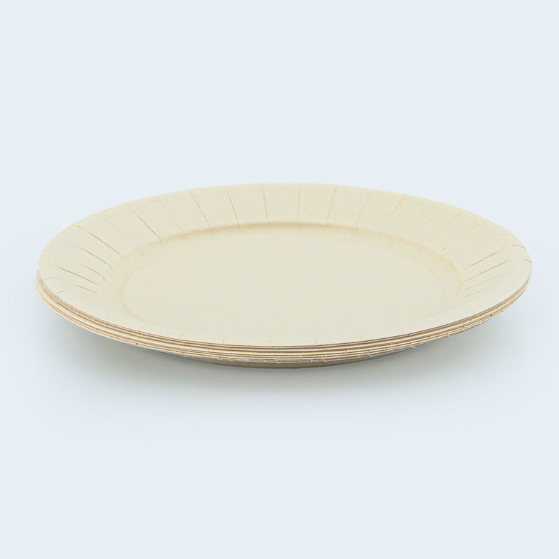 Lot de 10 assiettes en carton 