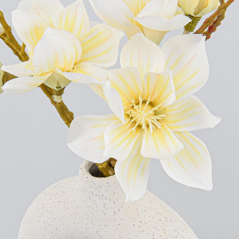 Magnolia dans vase 