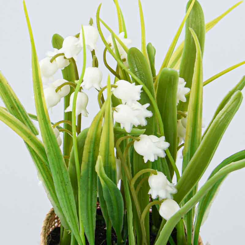 Petites fleurs en pot 