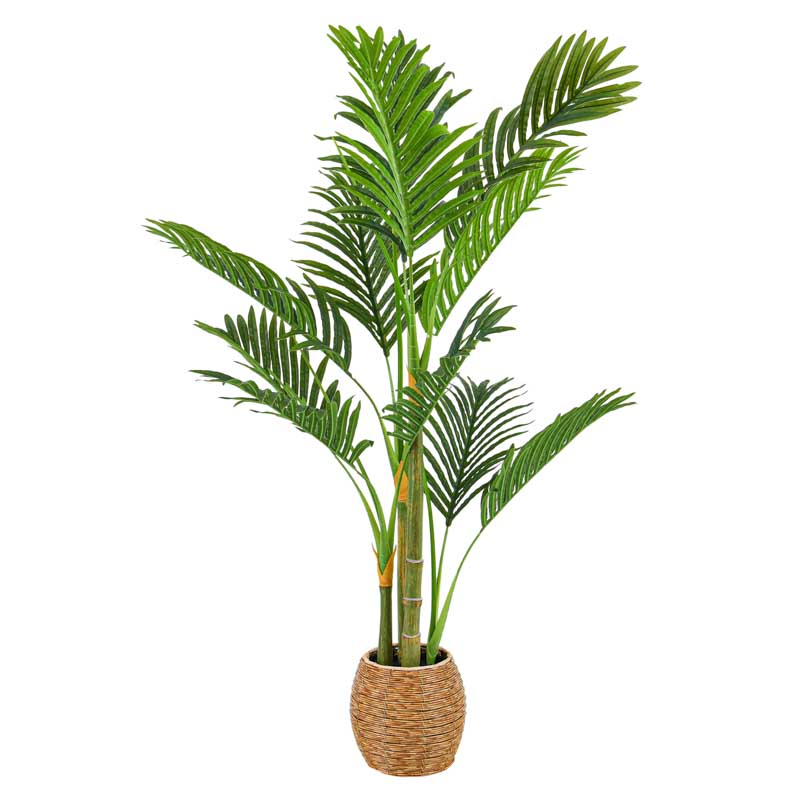 Palmier areca en pot vert 