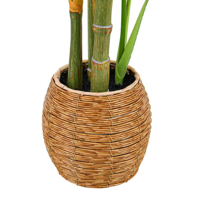 Palmier areca en pot vert 